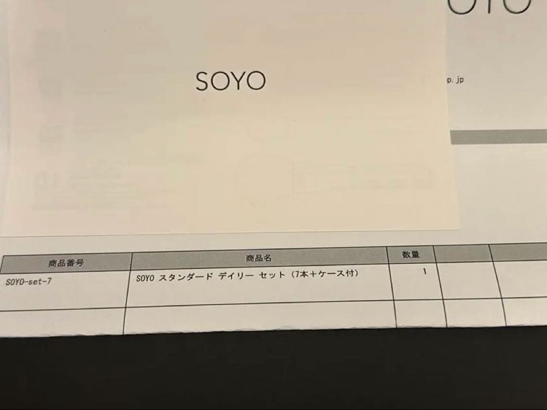 SOYO ブラシ　スタンダード　デイリー　セット