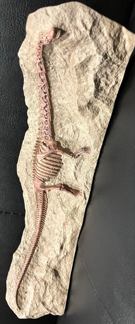 パタゴティタン　海洋堂　レリーフ