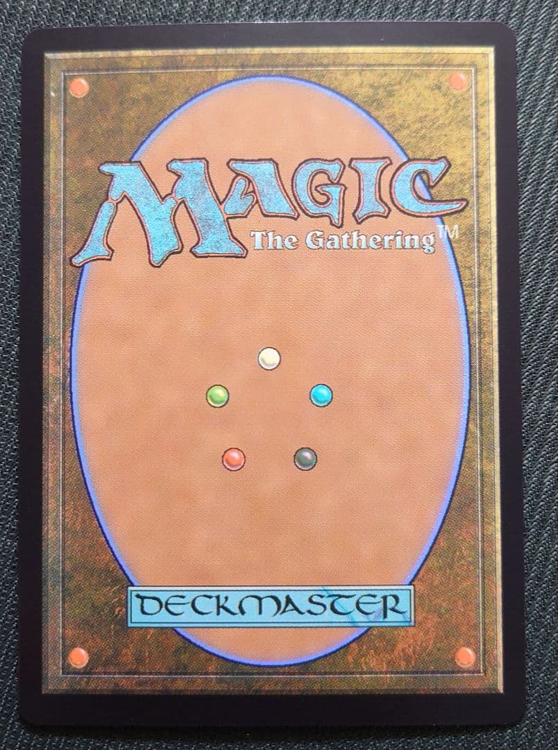 mtg 稀少 迷路庭園 ボーダーレス FOIL 英語版 mkm edh