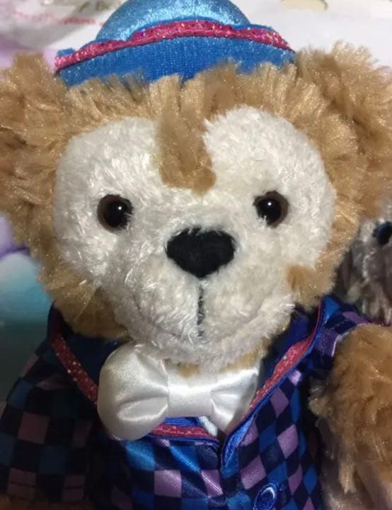 香港ディズニー　ぬいぐるみ　ss　ダッフィー　フレンズ　ジェラトーニ　周年