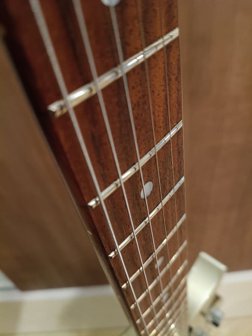 Burny　LS-38 FERNANDES エレキギター