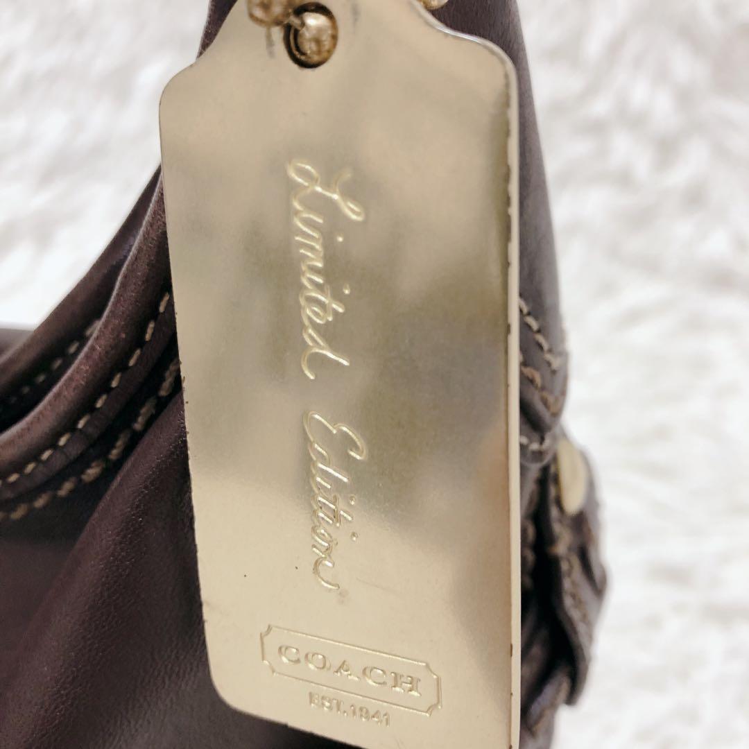 COACH　エルゴ　ホーボー ワンショルダーバッグ　Y2K　平成　リミテッド