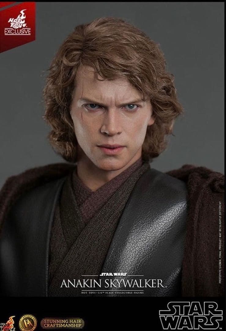 【新品・最安値】ホットトイズ DX アルチザン アナキン・スカイウォーカー