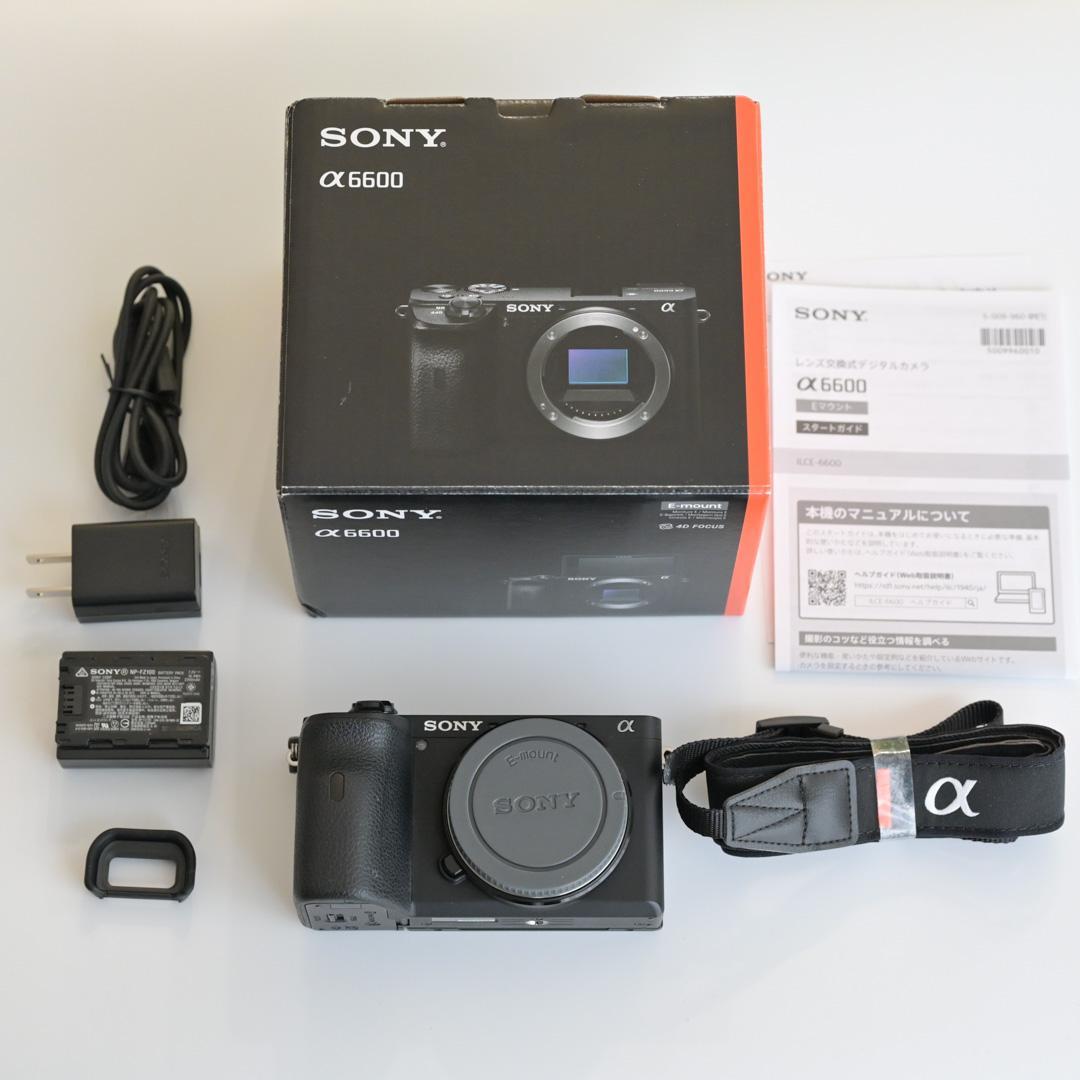防湿庫保管｜SONY a6600 ＋ Gレンズ 18-105mm F4