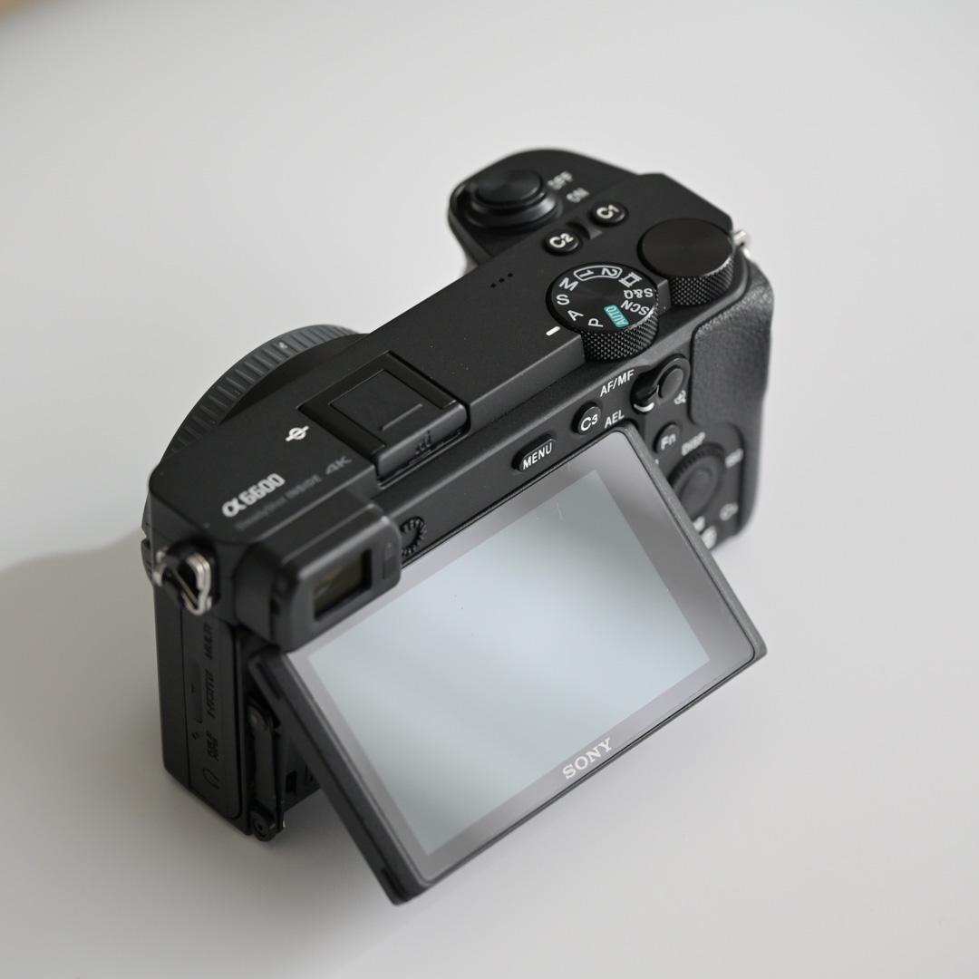 防湿庫保管｜SONY a6600 ＋ Gレンズ 18-105mm F4