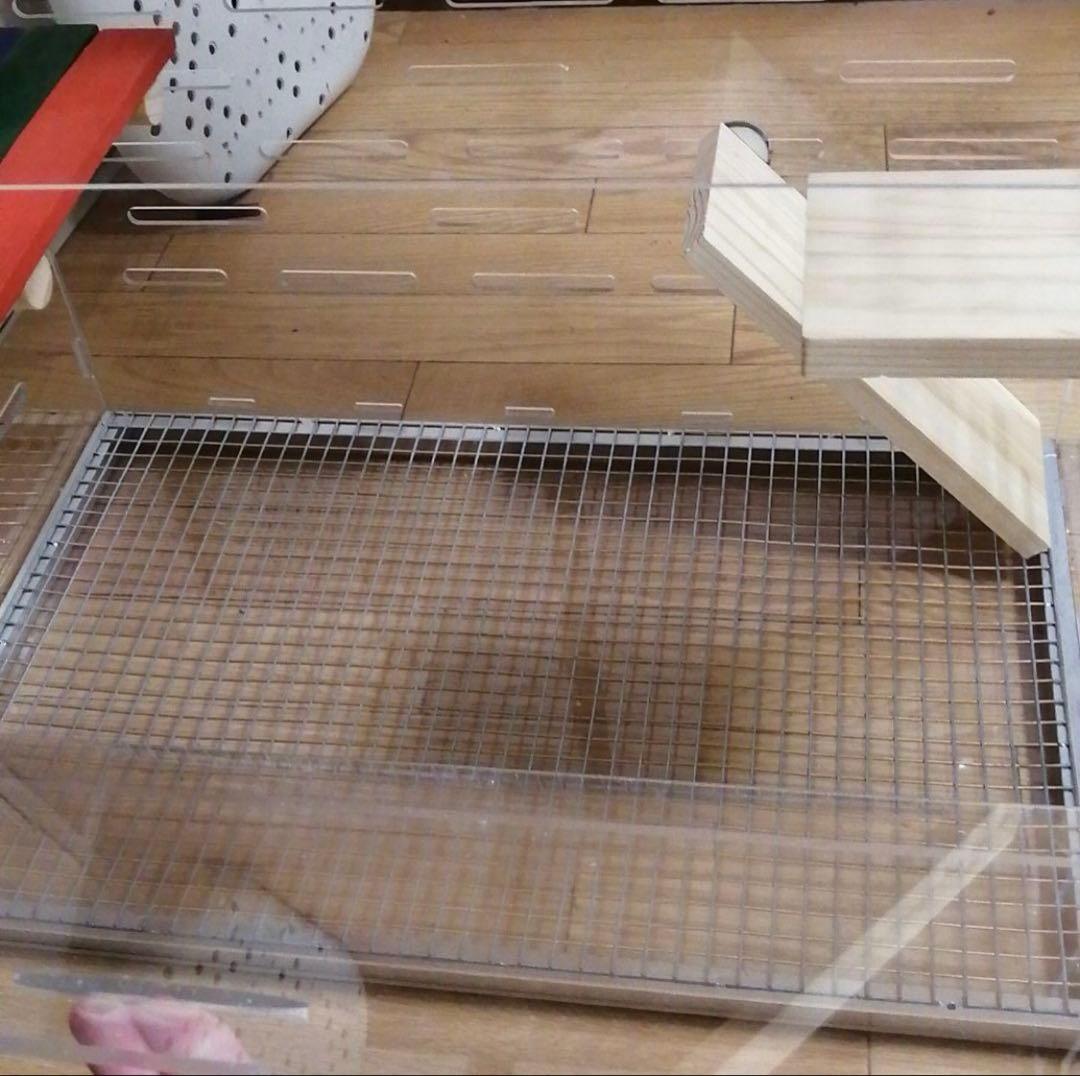 アクリル小動物用ケージ 中〜大型 木製ハウス付き