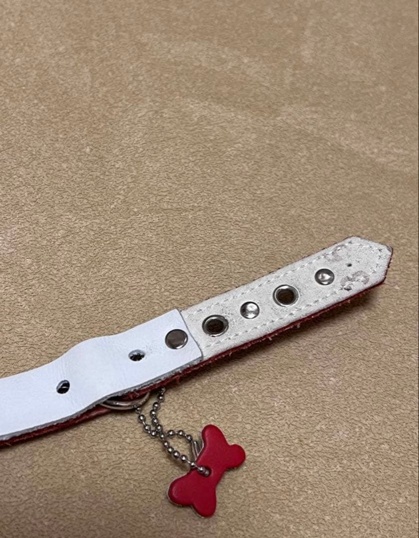 BUDDY BELT 3.5 レッド ラインストーン付き