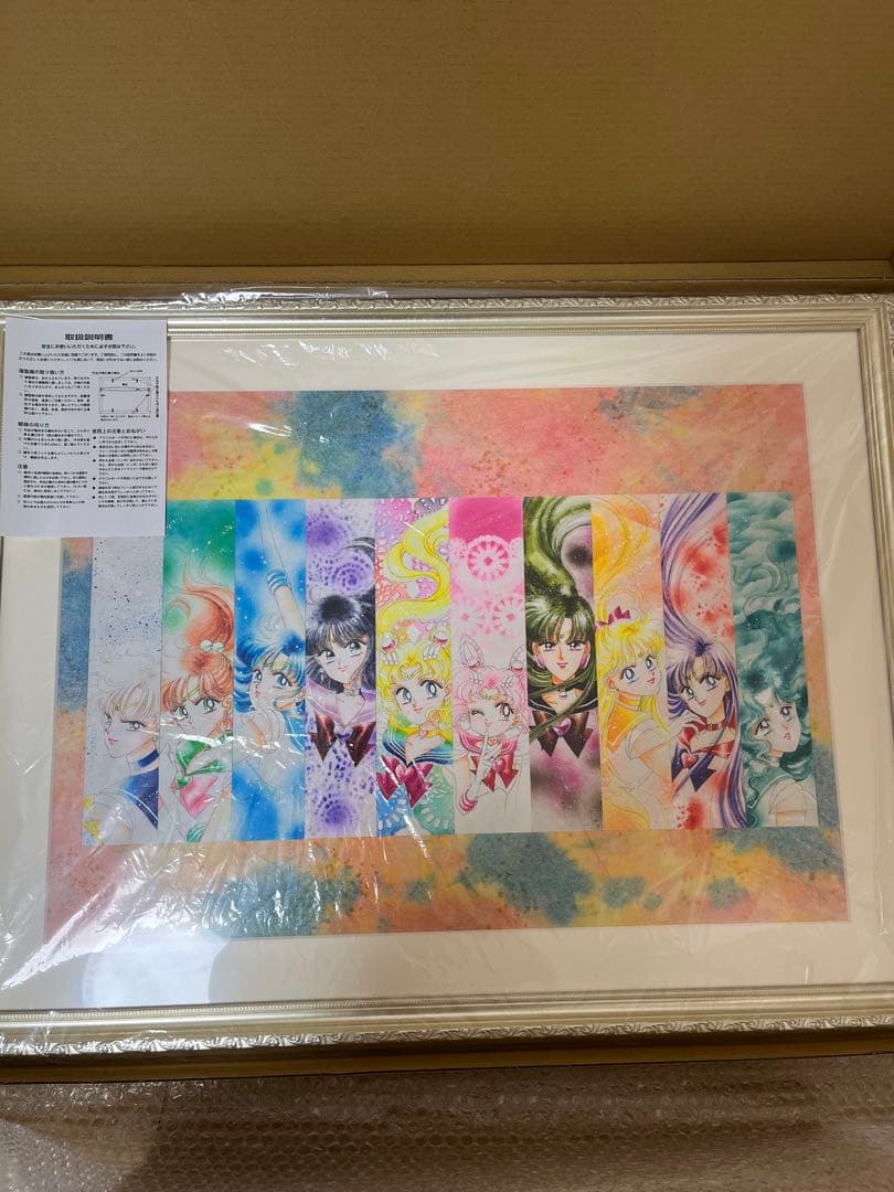 ［希少］美少女戦士セーラームーン　レゾネ発売記念オリジナル複製画（Ｂ）
