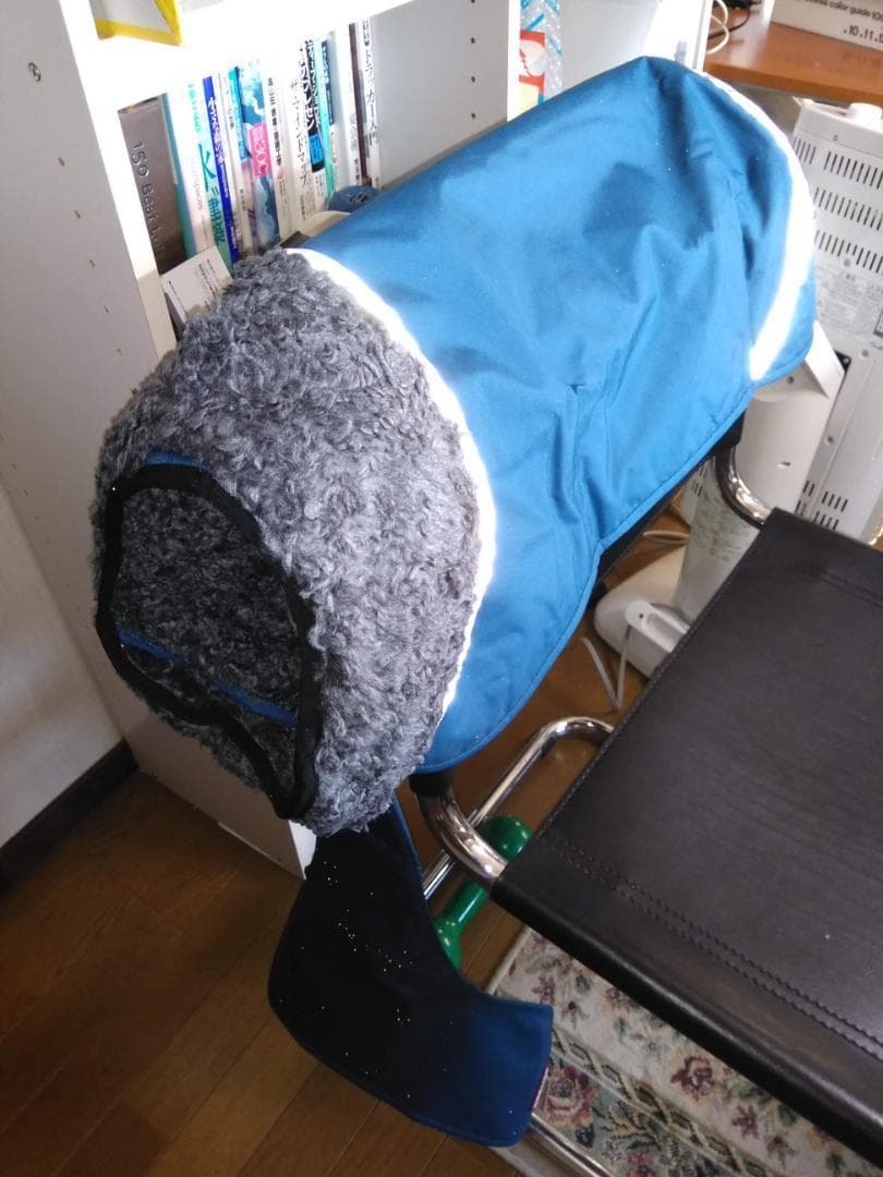 ポムッパ　ペルス　ペトロール　サイズ55