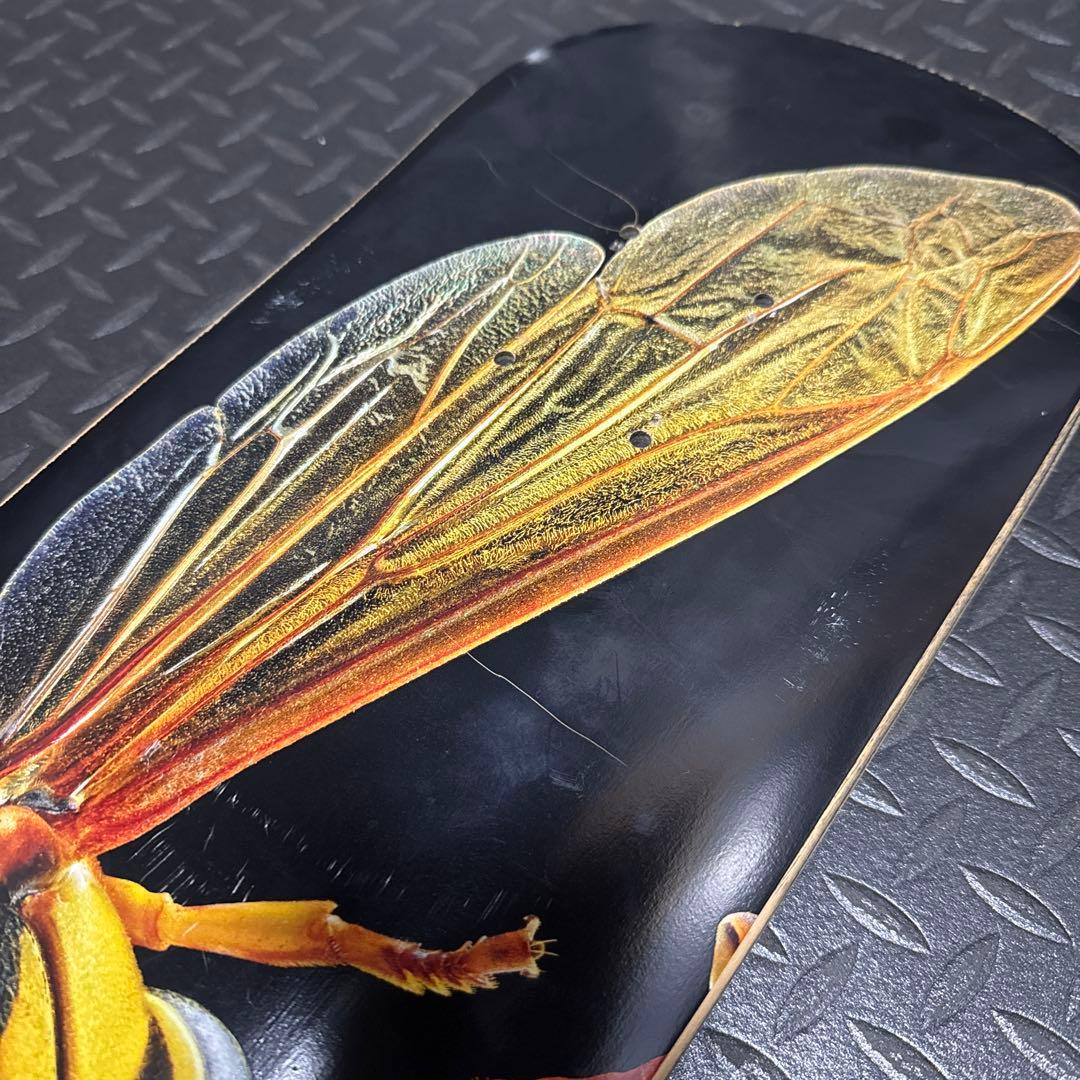 スケートボード　POWELL PERALTA FLIGHT LIGHT 8.0