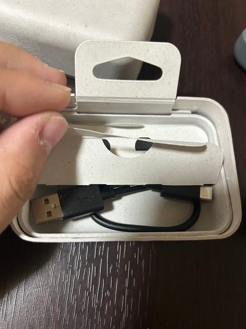 SONY WF-1000XM4 Switchケース付き