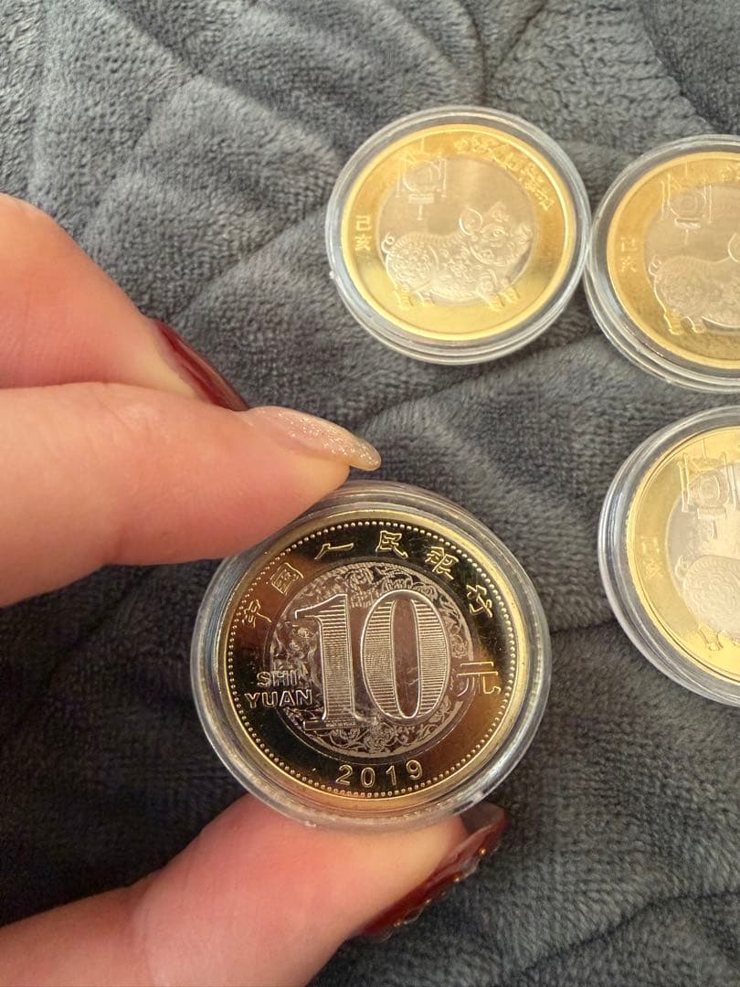 中国記念硬貨 2019年十二支　イノシシ　記念10元　未使用　10枚セット