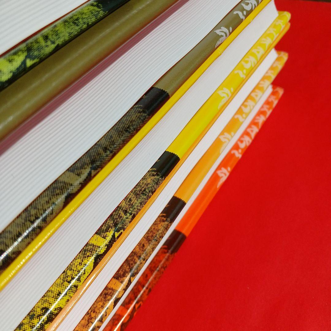 M*l様 ヒマラヤ聖者の生活探求