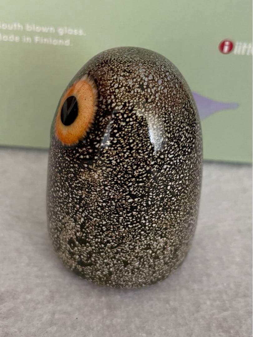 リトルバーンオウル　イッタラ