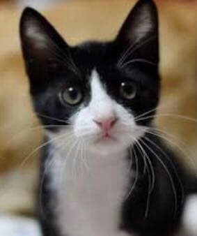 こちらはnamの確認画面になります