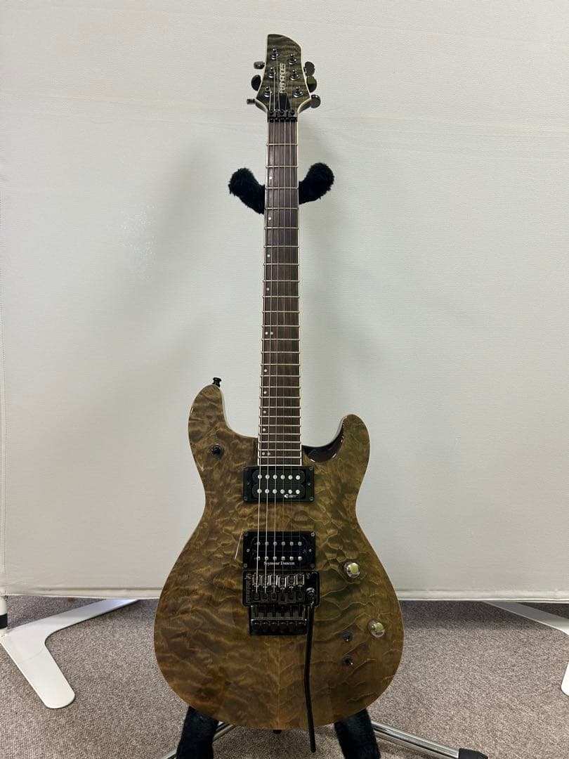 フェルナンデス APG-85S サスティナー