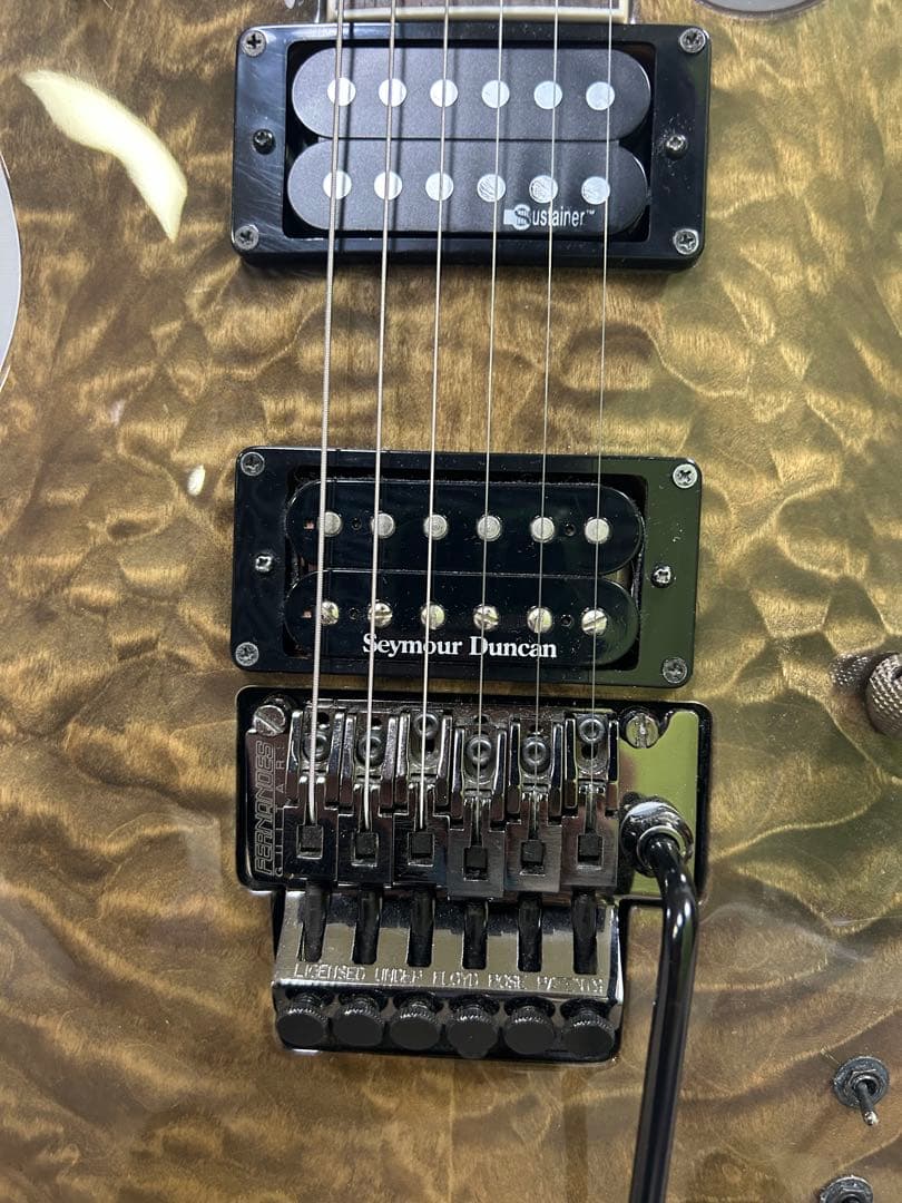 フェルナンデス APG-85S サスティナー