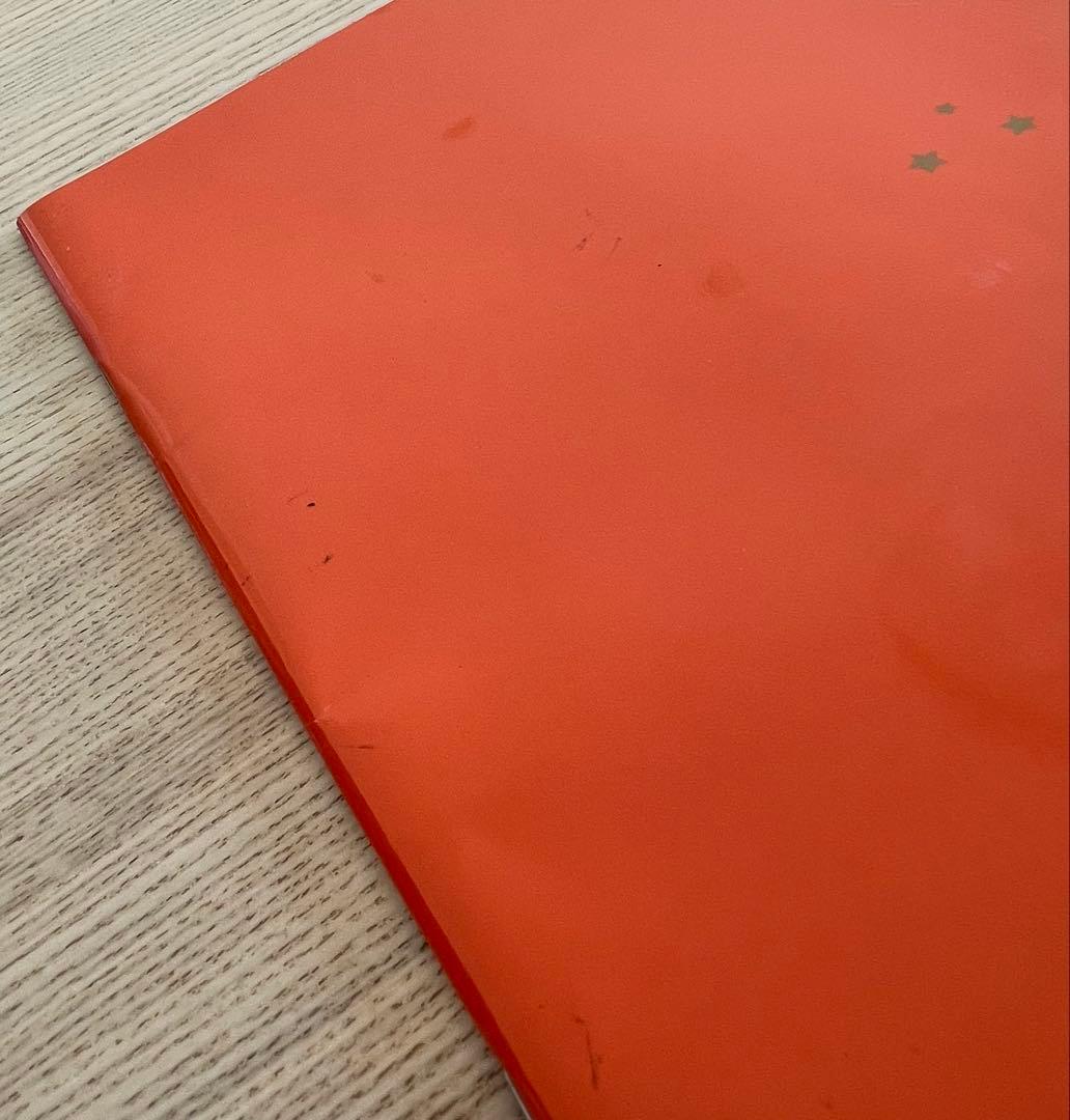 ★希少★ 舞台　夜は短し歩けよ乙女　パンフレット　森見登美彦　田中美保