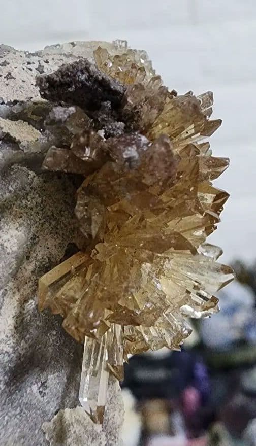 モロッコ産アラゴナイトの花　 (　花火 )