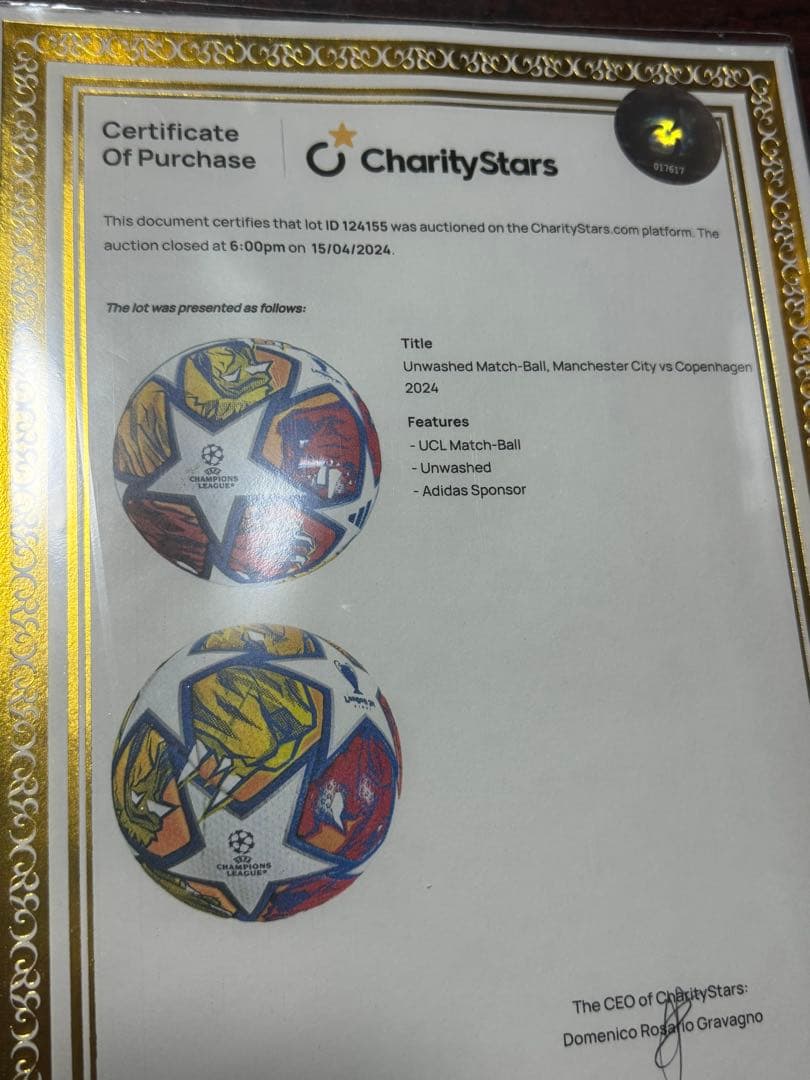 デ*ル様 【実使用】チャンピオンズリーグ　公式球　マンチェスターシティ 対 コペ