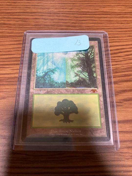 『MTG』森　グルランド　13