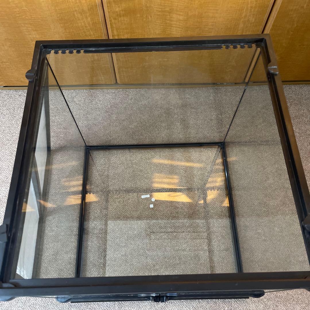 爬虫類ケージ エキゾテラ グラステラリウム 4545 爬虫類 飼育ケージ