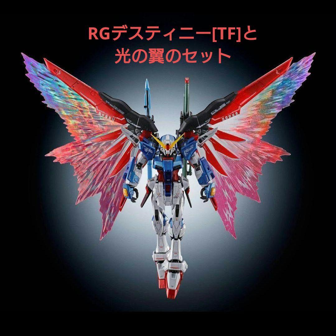 RG 1/144 デスティニーガンダム ［チタニウムフィニッシュ］2種セット※※