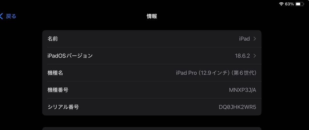 iPad Pro 12.9インチ 128GB スペースグレー　第6世代