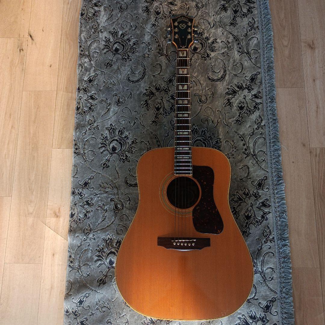 コンプリートＤ-55モデル Aria GL-500 積層ネック 本アバロン貝