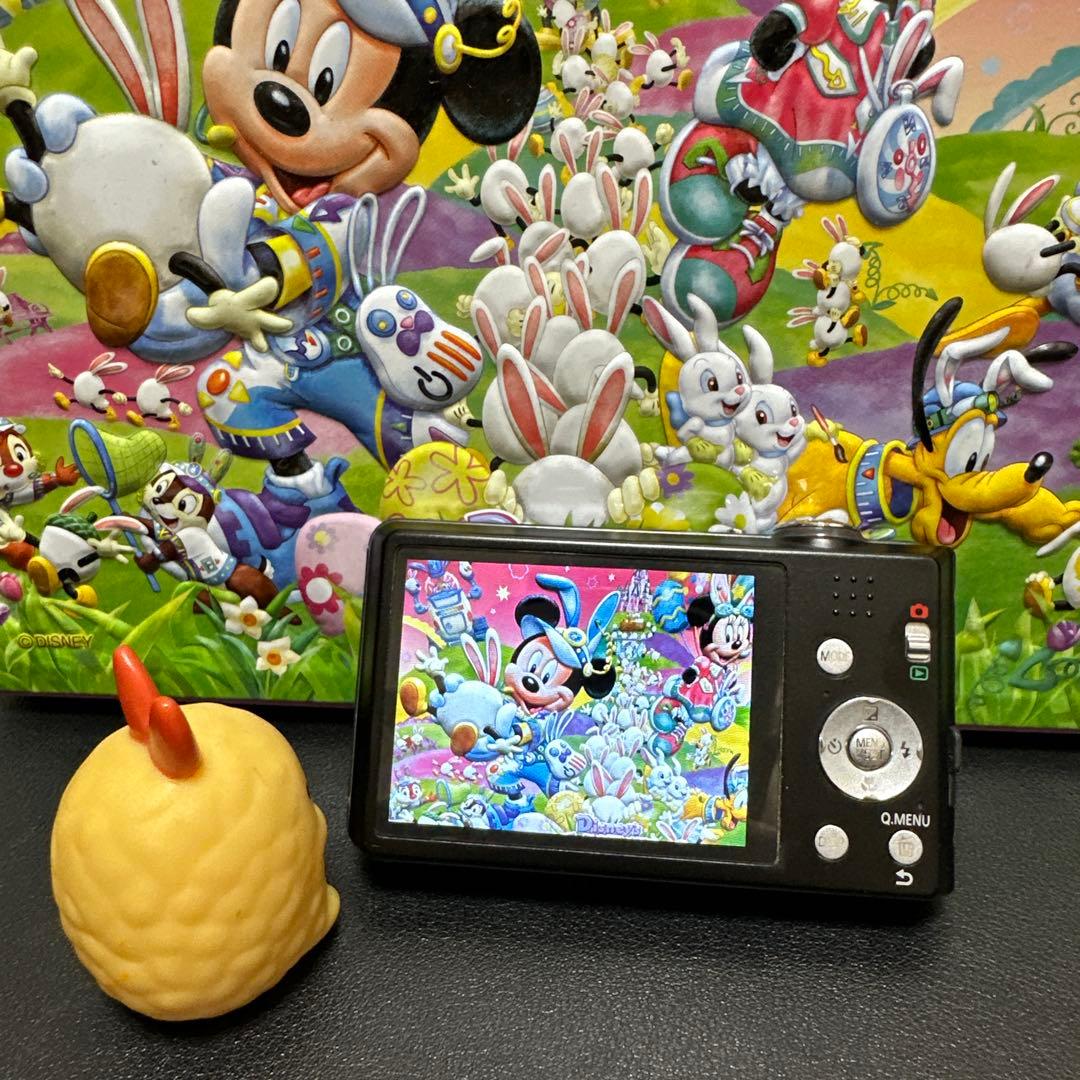 Panasonic LUMIX DMC-FH5 動作確認済　中古良品