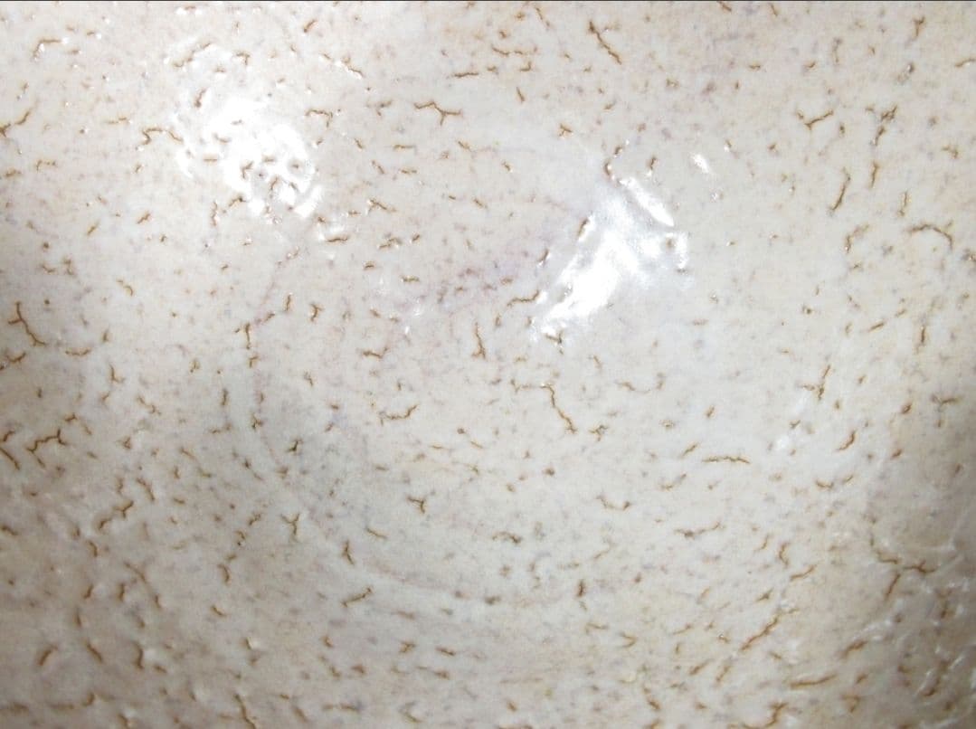 真作保証 波多野善蔵 自作 萩焼 コレクター放出品 佐賀県 山口県