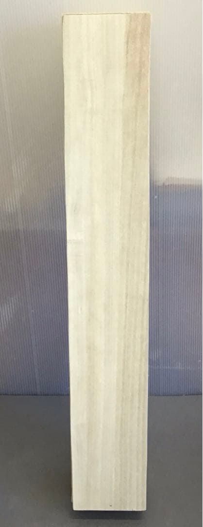 茶道具　掛軸「寅の図」　昌信写　幕末から明治初期と推定　配送用桐箱　S197KJ