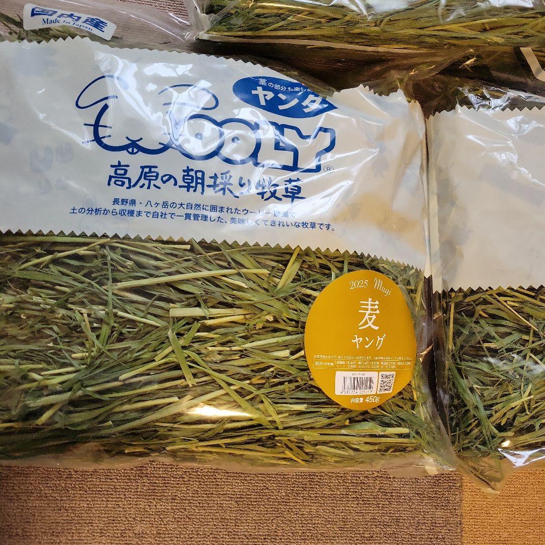 WOOLY 高原の麦ヤング 450g 3袋セット