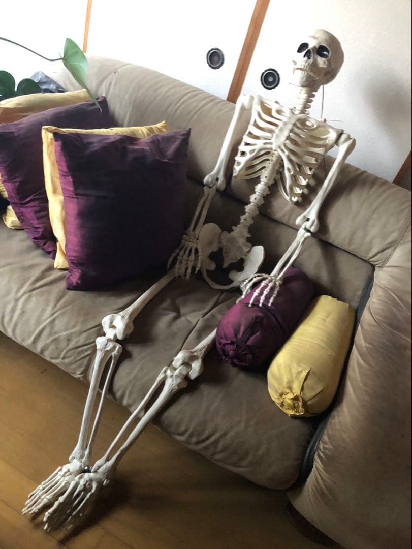 等身大　ガイコツ　スカル