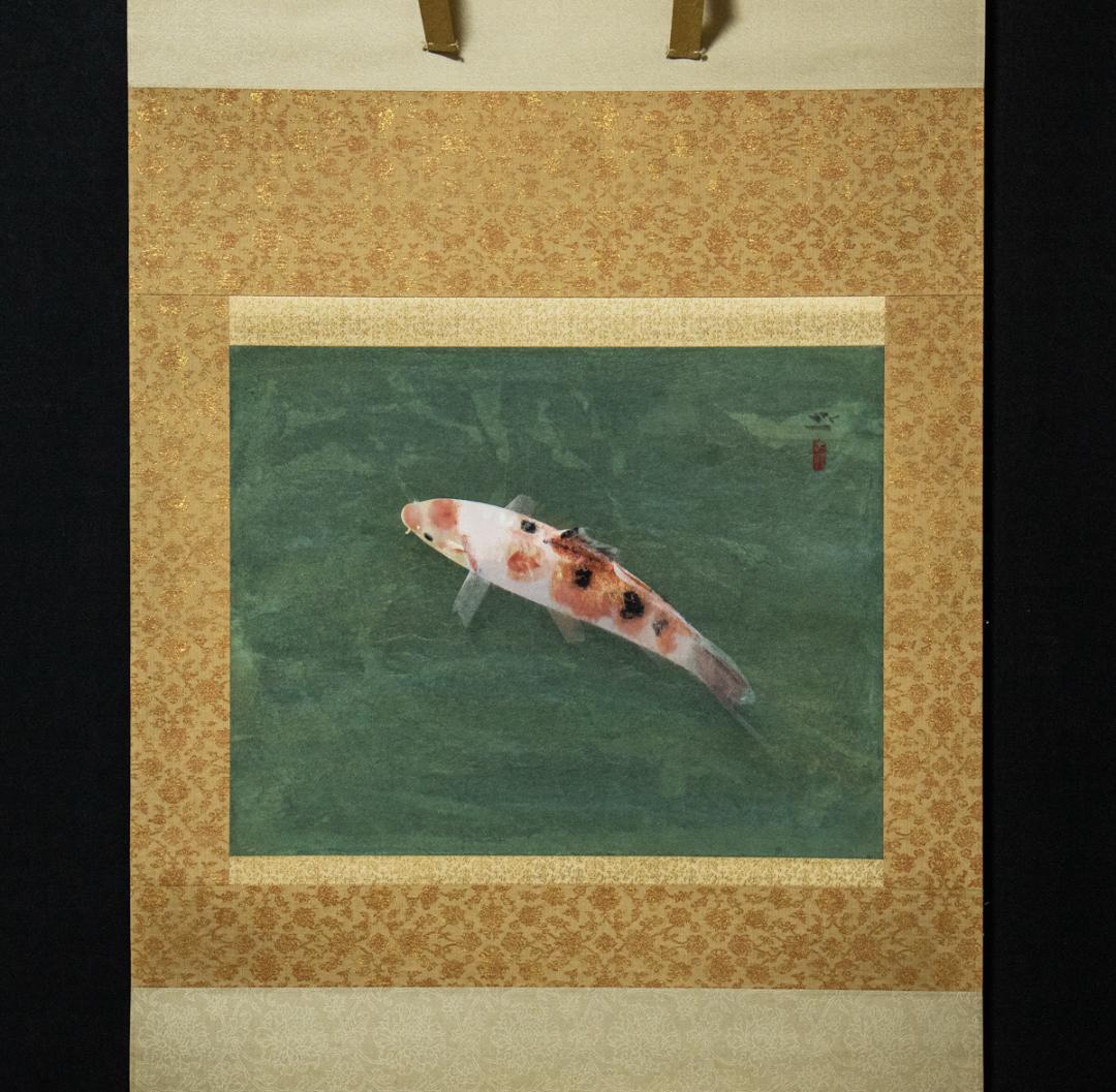 掛軸-1425　梶喜一　鯉　共箱　二重箱　太巻