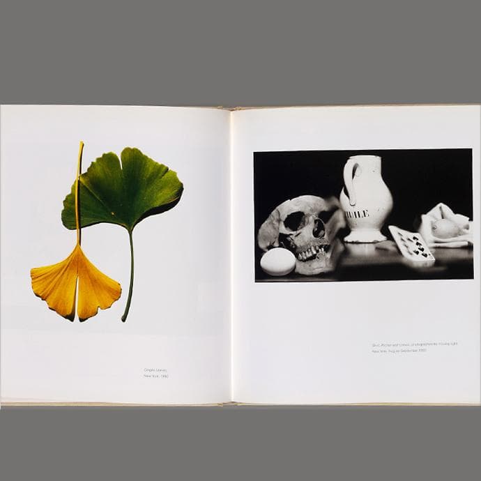 芸術写真 Still Life | Irving Penn