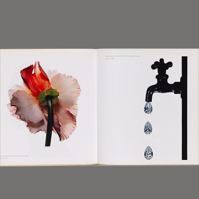 芸術写真 Still Life | Irving Penn