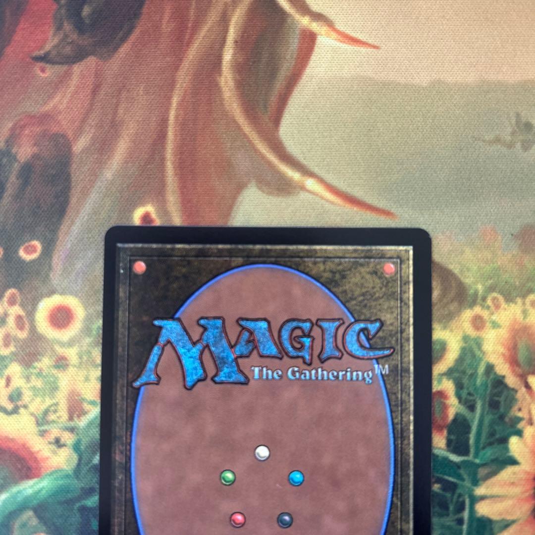 MTG 迷える黒魔道士、ビビ　拡張　日本語