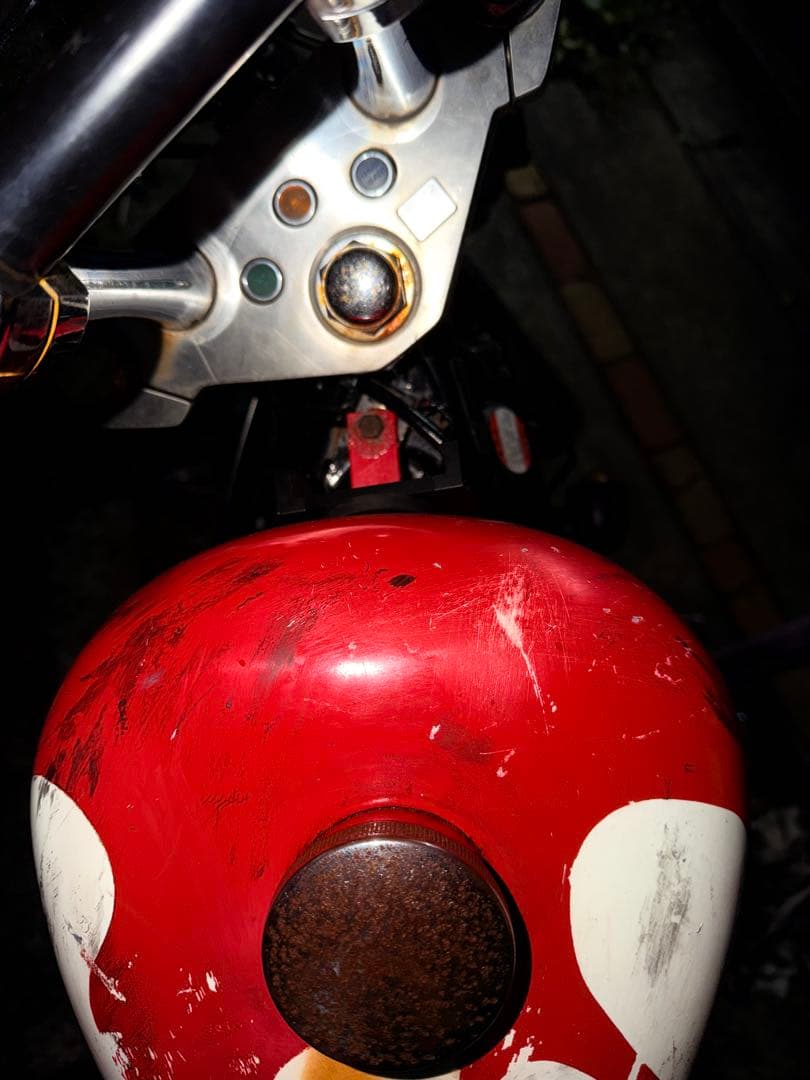 スティードスポーツスタータンク　ねこさん専用