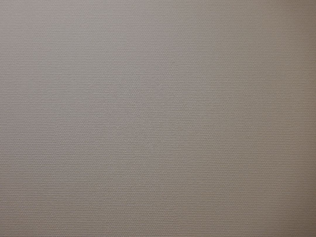 Panasonic lumix DMC-TX1 4K コンデジ