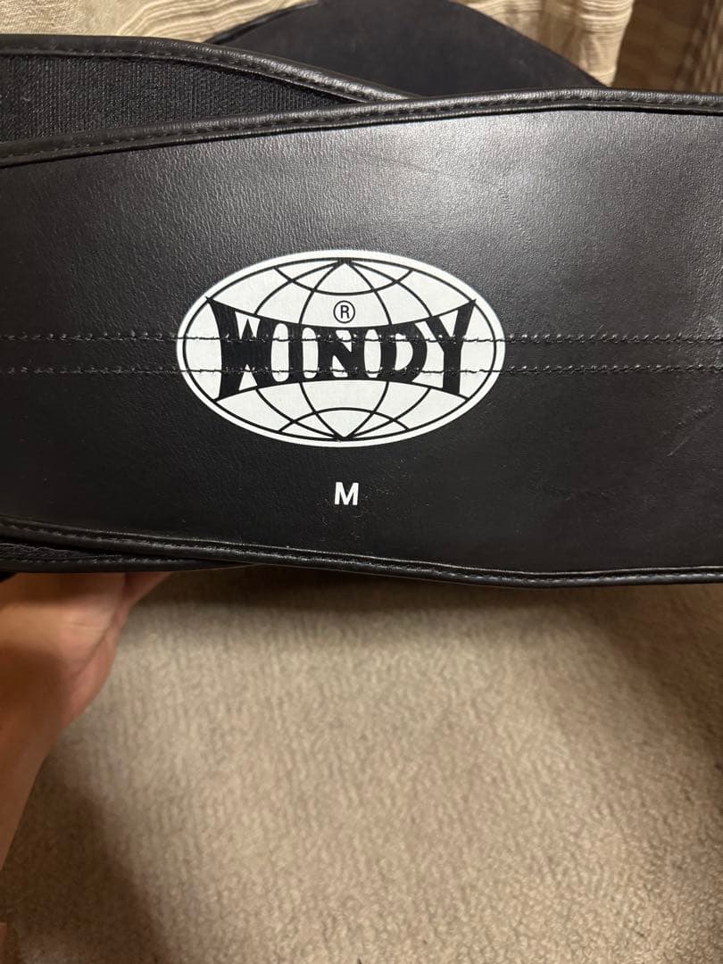 WINDY ボディーミット