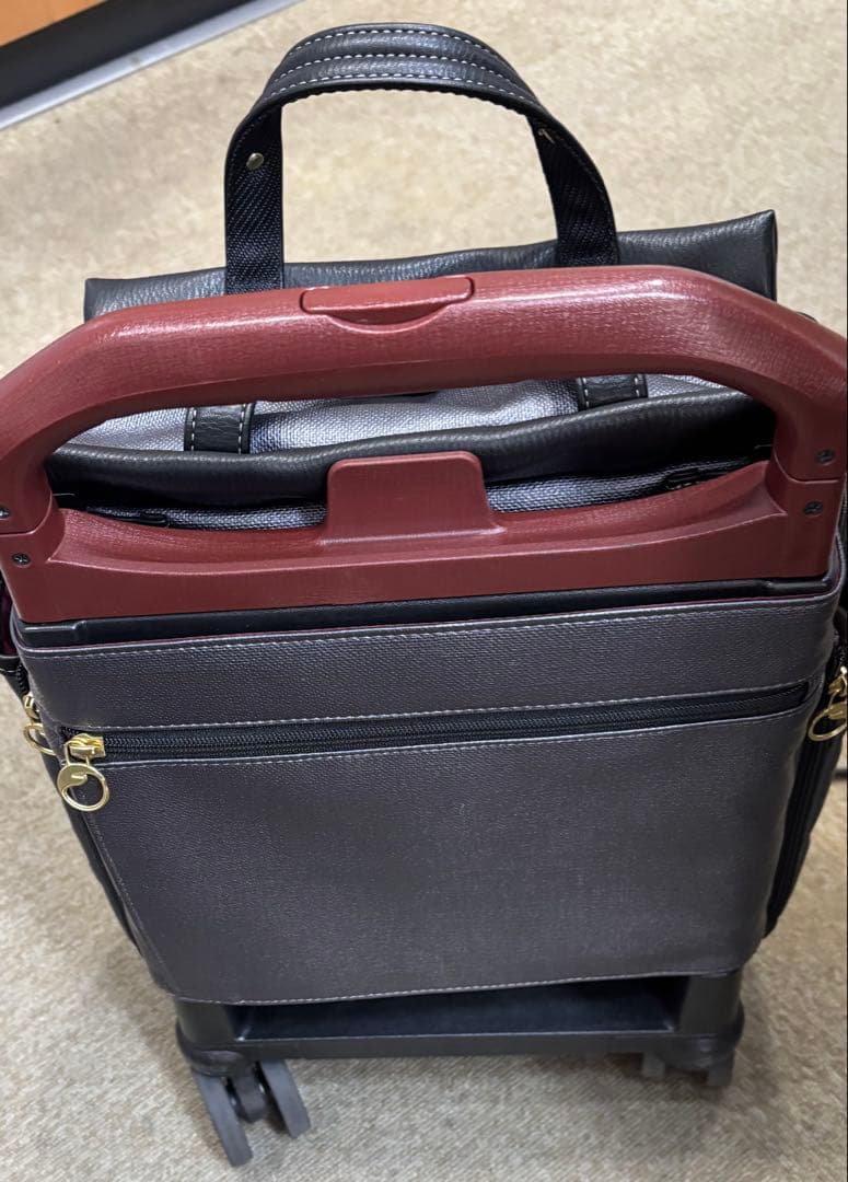 ACE ソエルテ　バック