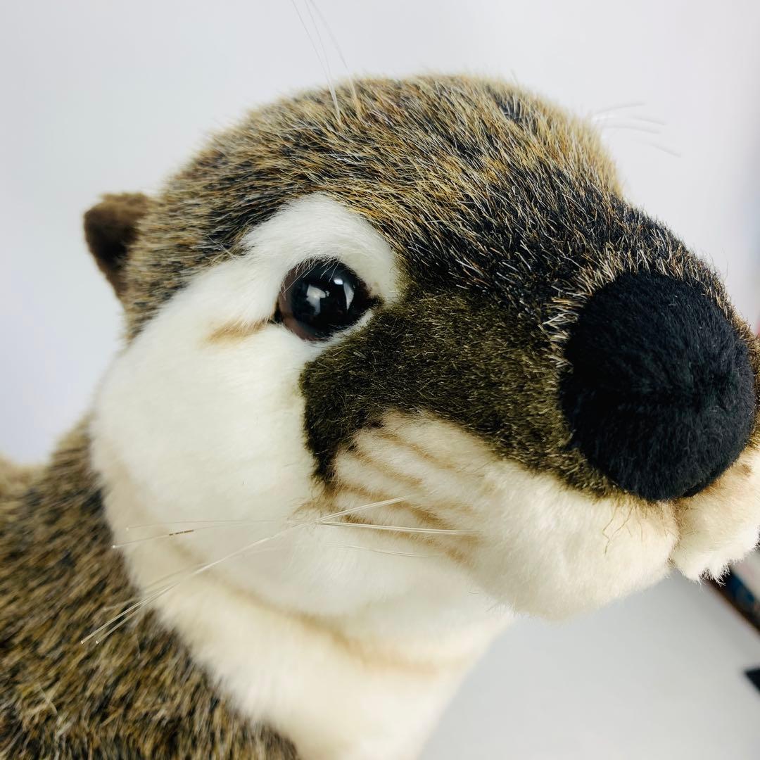 ハンサ ぬいぐるみ 3319 カワウソ かわうそ リアルアニマル 動物 獺