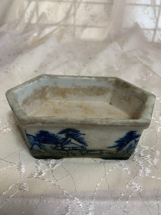 磯山　六角　絵鉢　盆栽鉢