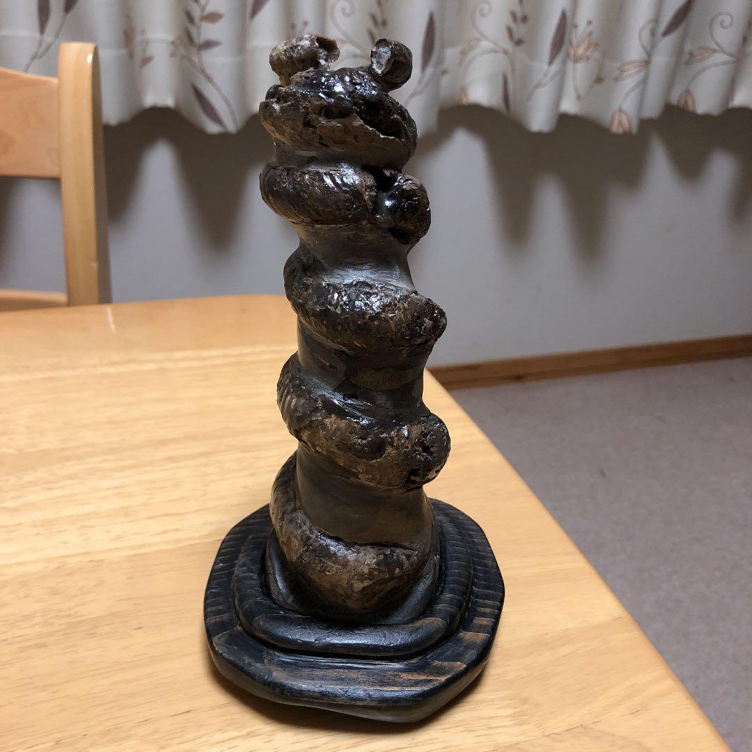 化石　　異常巻き