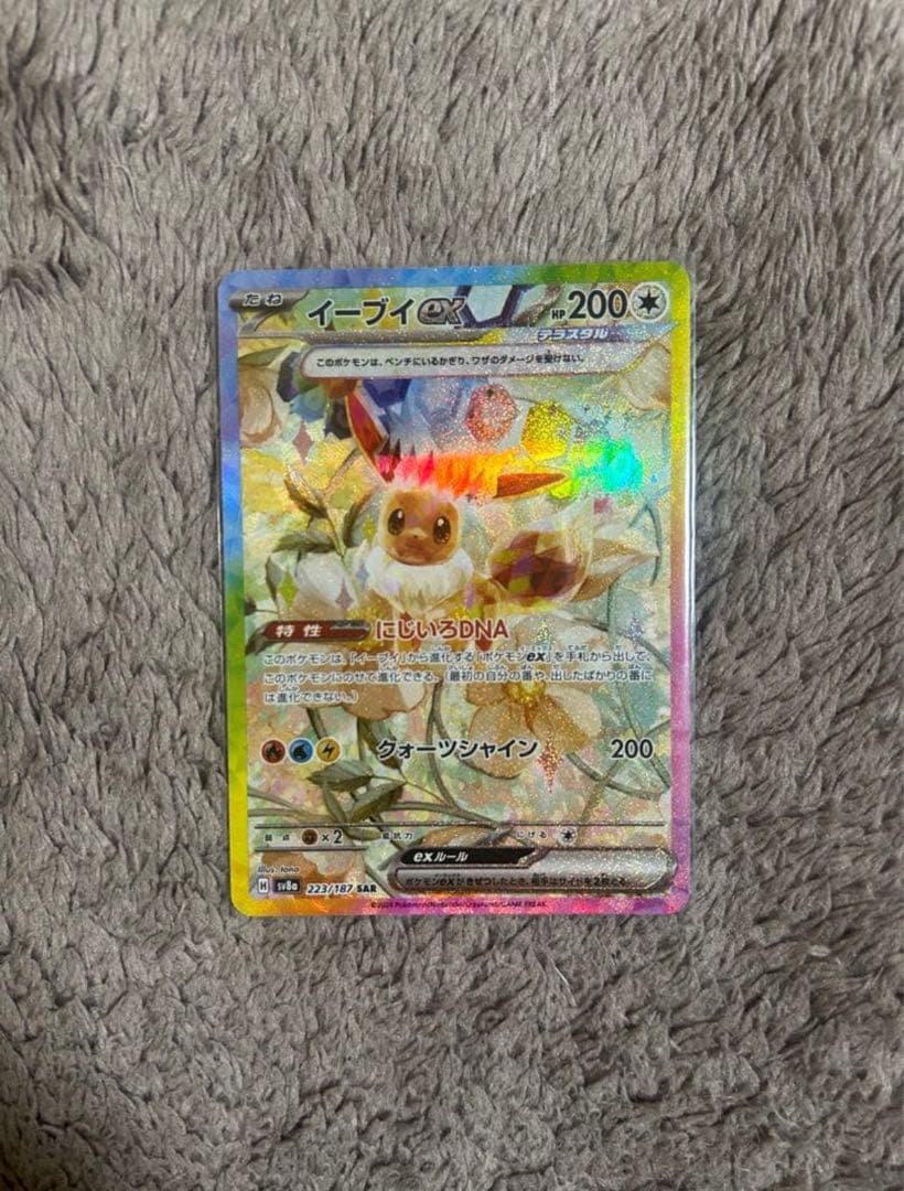 【美品】本日発送テラスタルフェスex ブイズSAR 9枚　コンプ