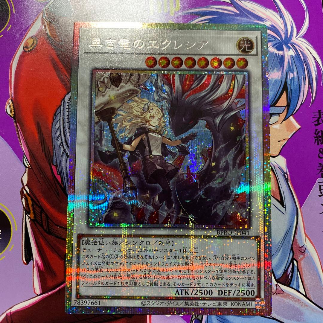 黒き竜のエクレシア プリシク