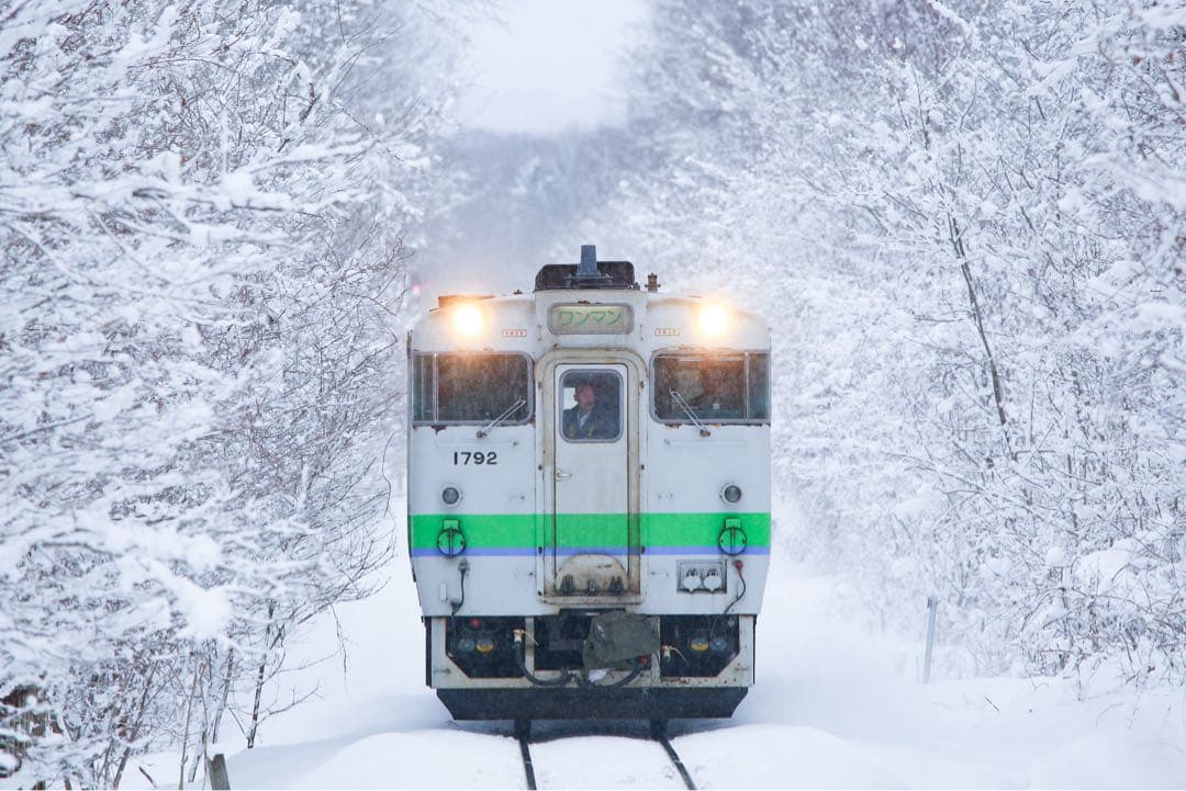 SIGMA 150-600mm F5-6.3 DG OS HSM Canon用