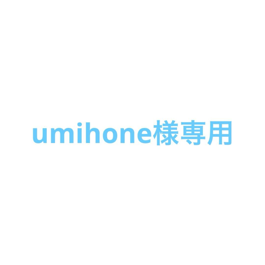 その他 umihone