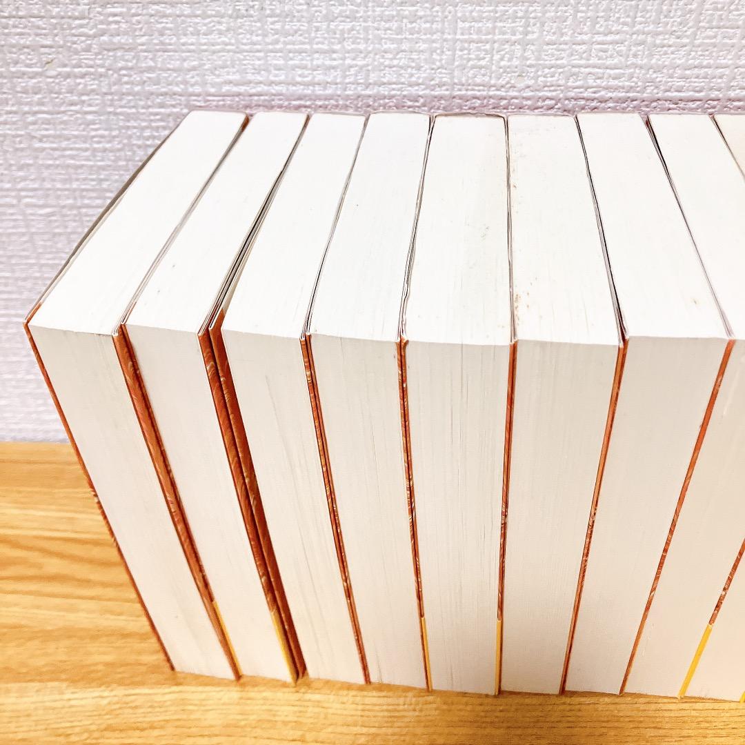 紅楼夢 1〜12巻セット 平凡社 曹雪芹著伊藤漱平著 平凡社ライブラリー